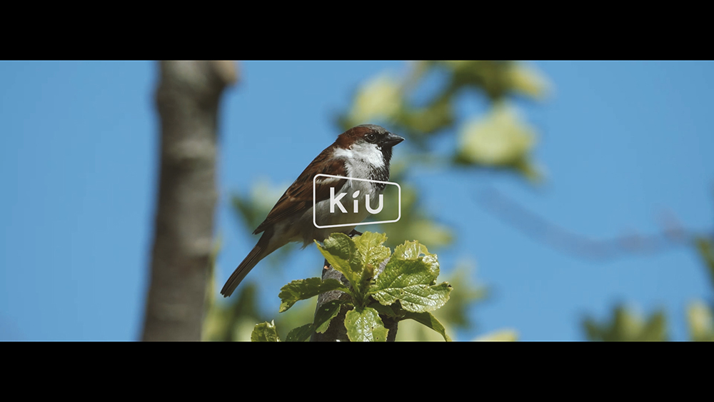 動画のスクリーンショット2枚目